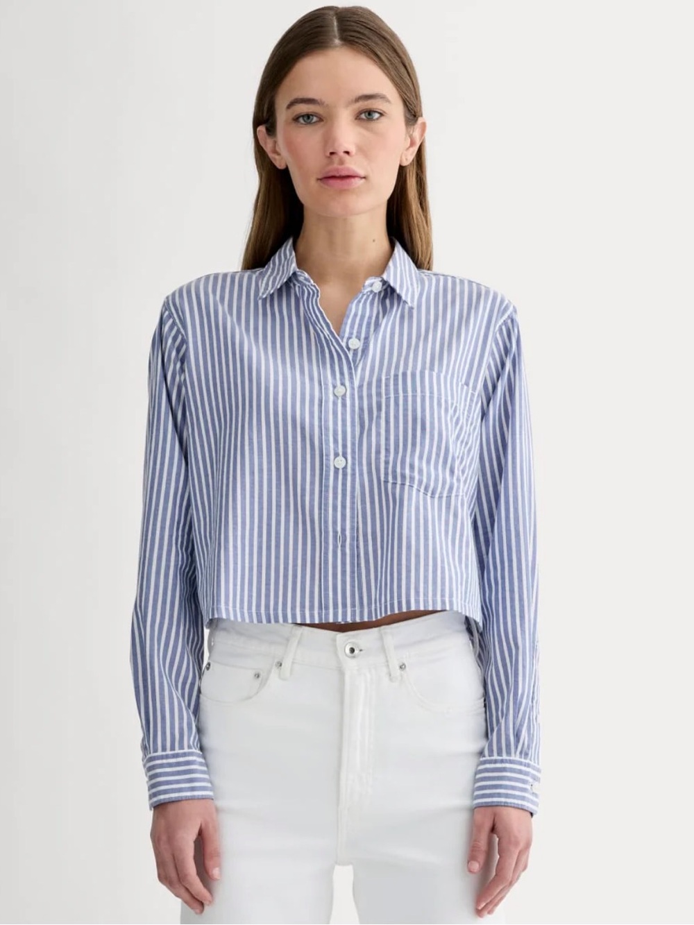 Everlane The Way Short Cropped Supima Cotton Striped Button Up Shirt